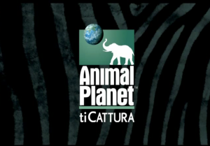 Animal Planet | TV Idents
