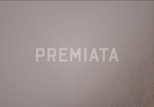 Spot Premiata 2013